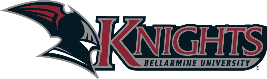 Bellarmine Knights 2004-2010 Alternate Logo DIY iron on transfer (heat transfer)
